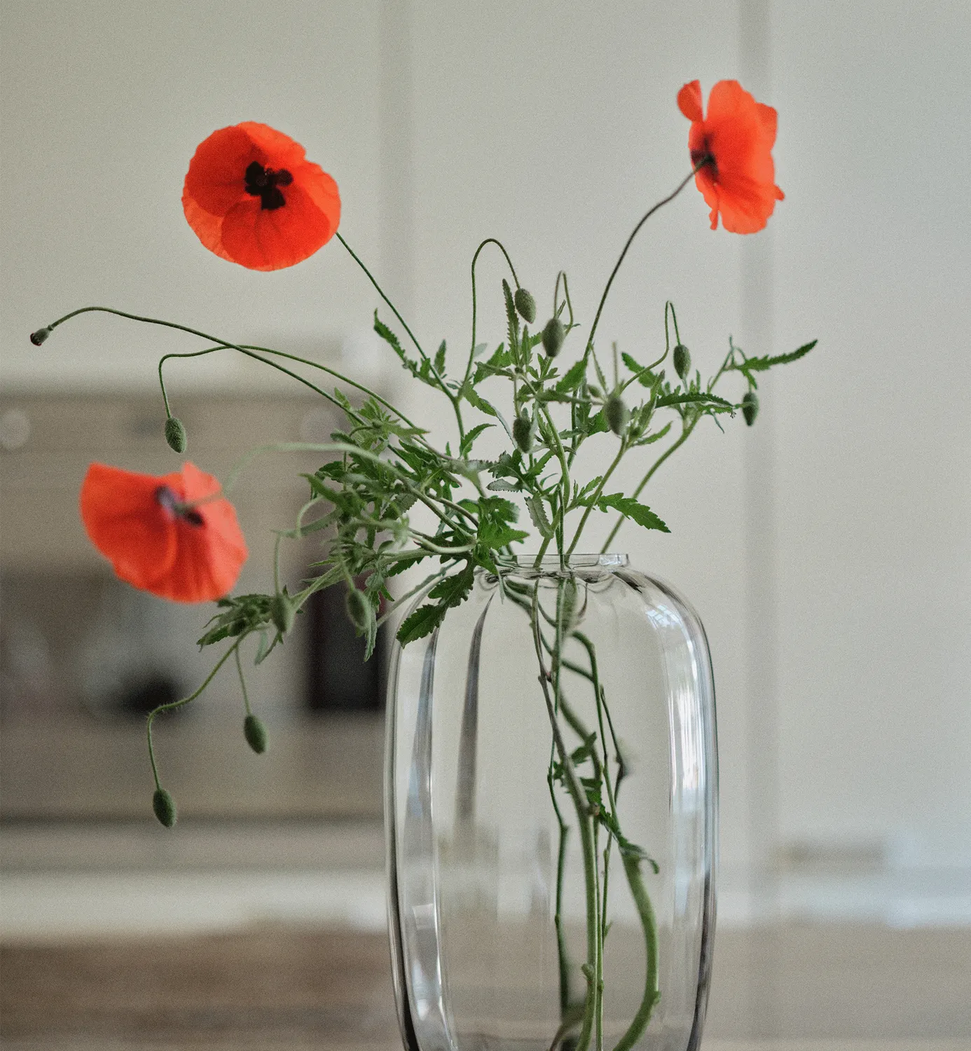 Krosno Ballerina Celestine vase 34 cm blågrå glas