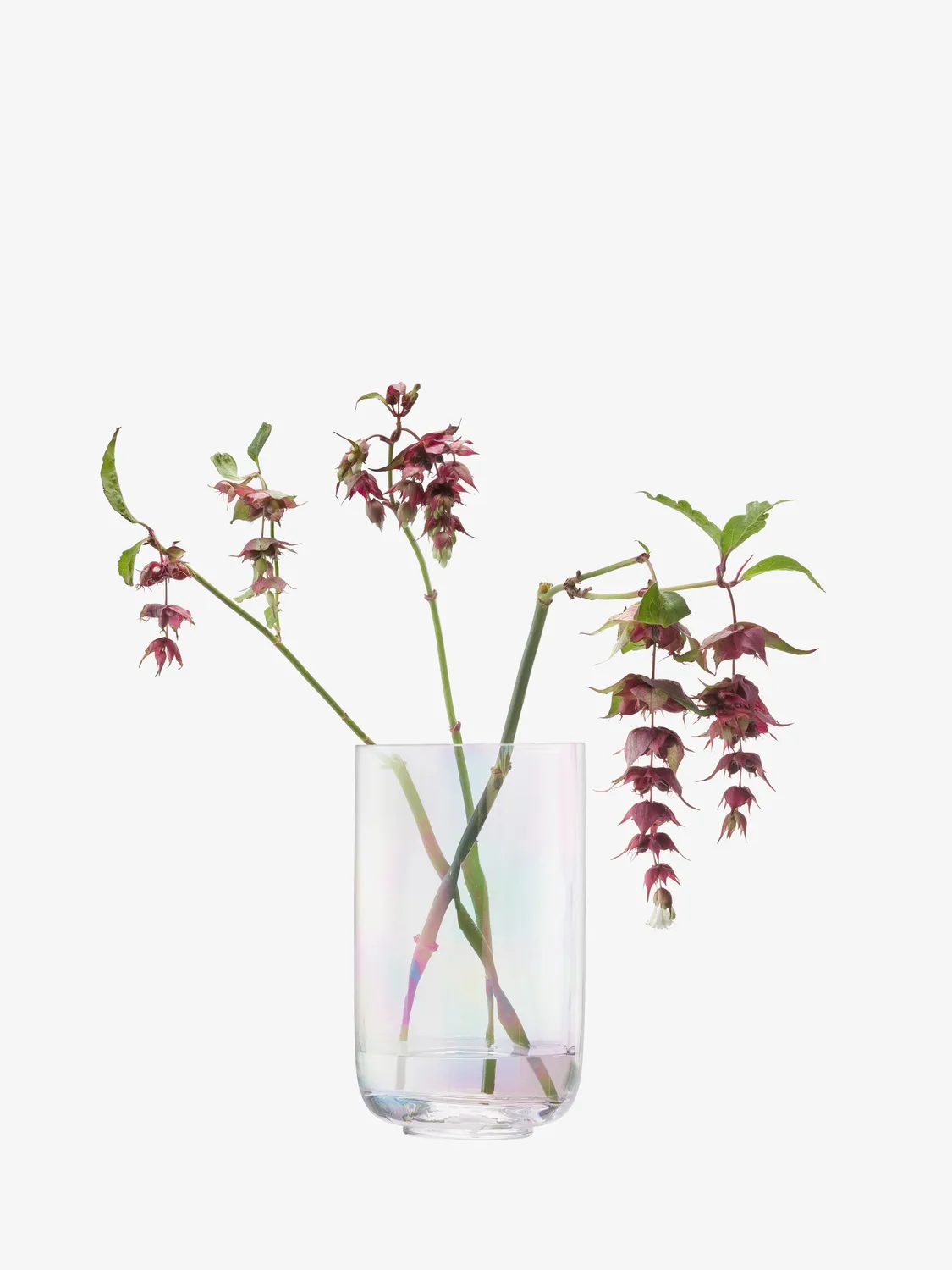 LSA Pearl lanterne vase mundblæst glas inkl. lys