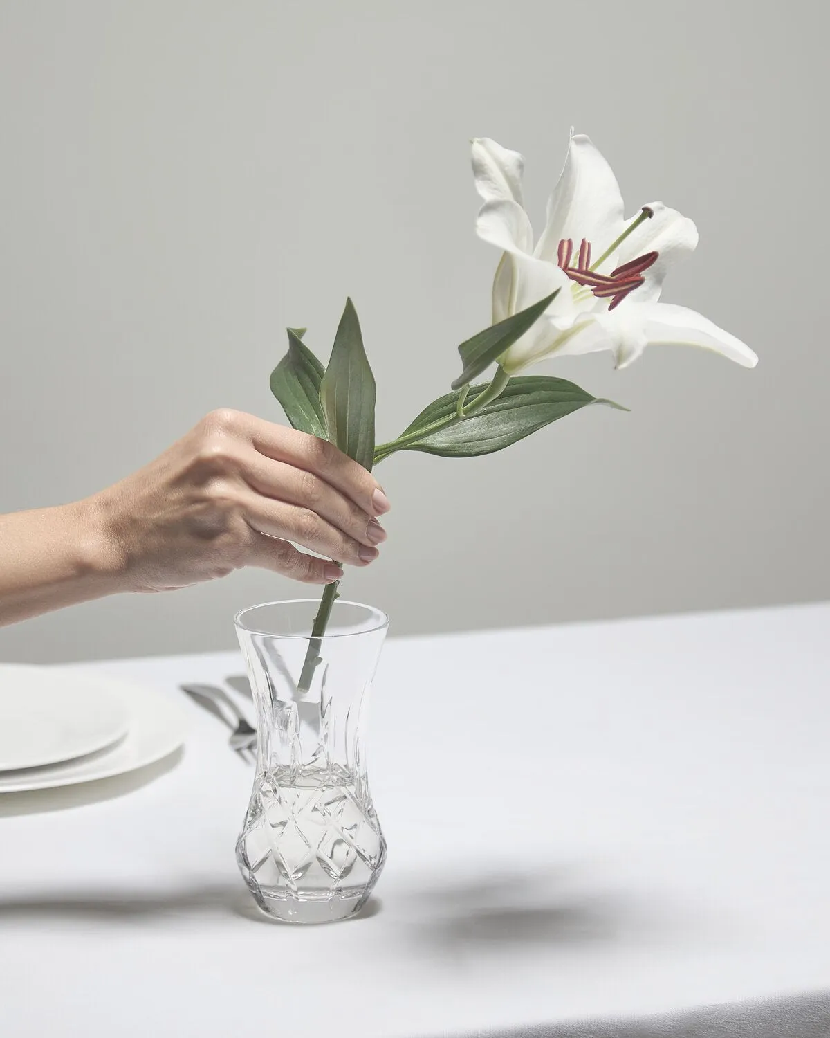 Waterford Lismore Giftology Bon Bon vase krystal