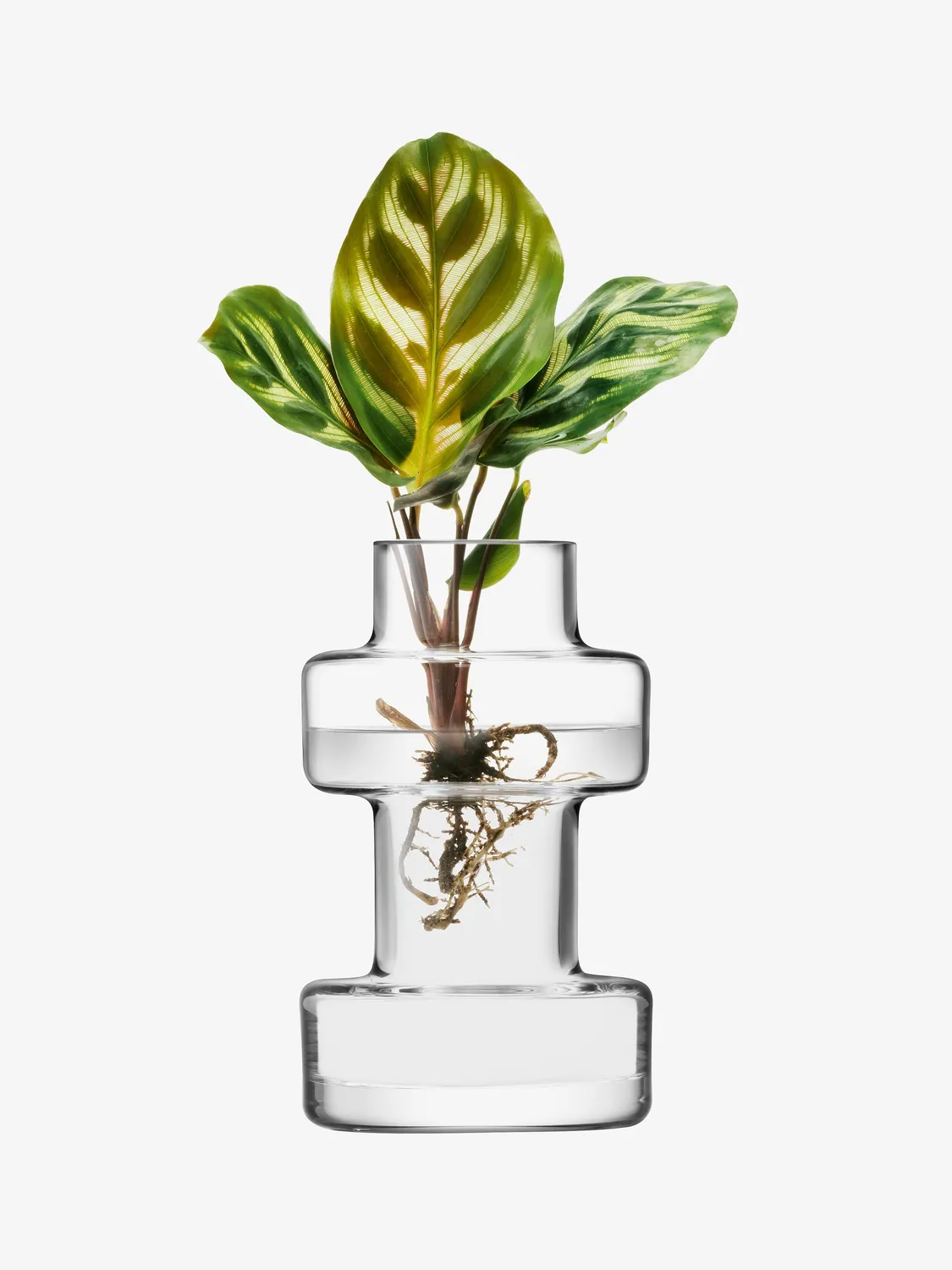 LSA Metropole minivase glas 5 stk sæt