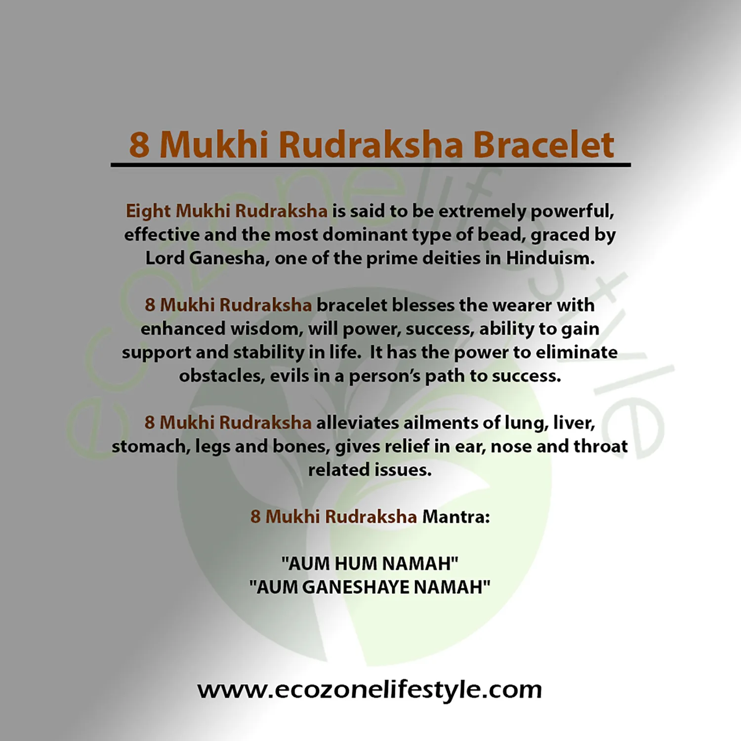 El'Cobre 8 Mukhi Rudraksha armbånd naturfrø