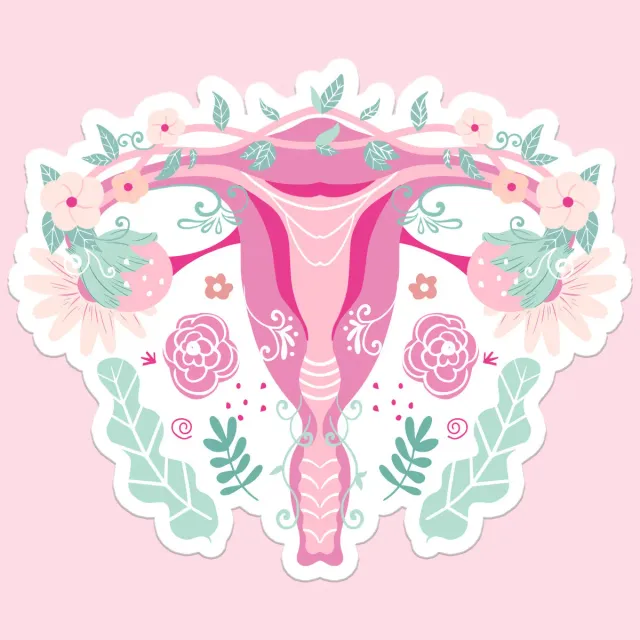 Mugsby Uterus Women's Right klistermærke vinyl