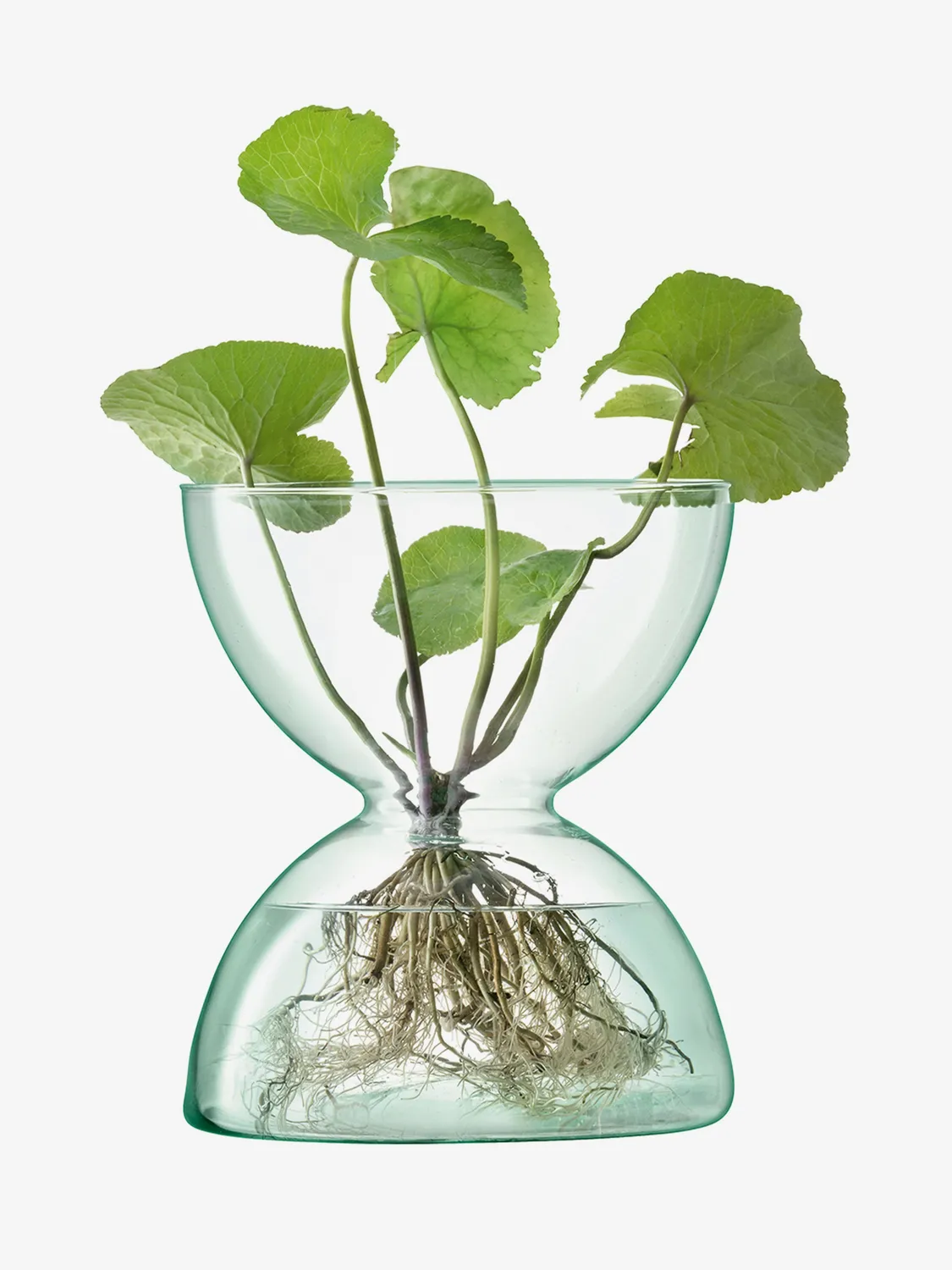 LSA Canopy vase genbrugsglas kuppel