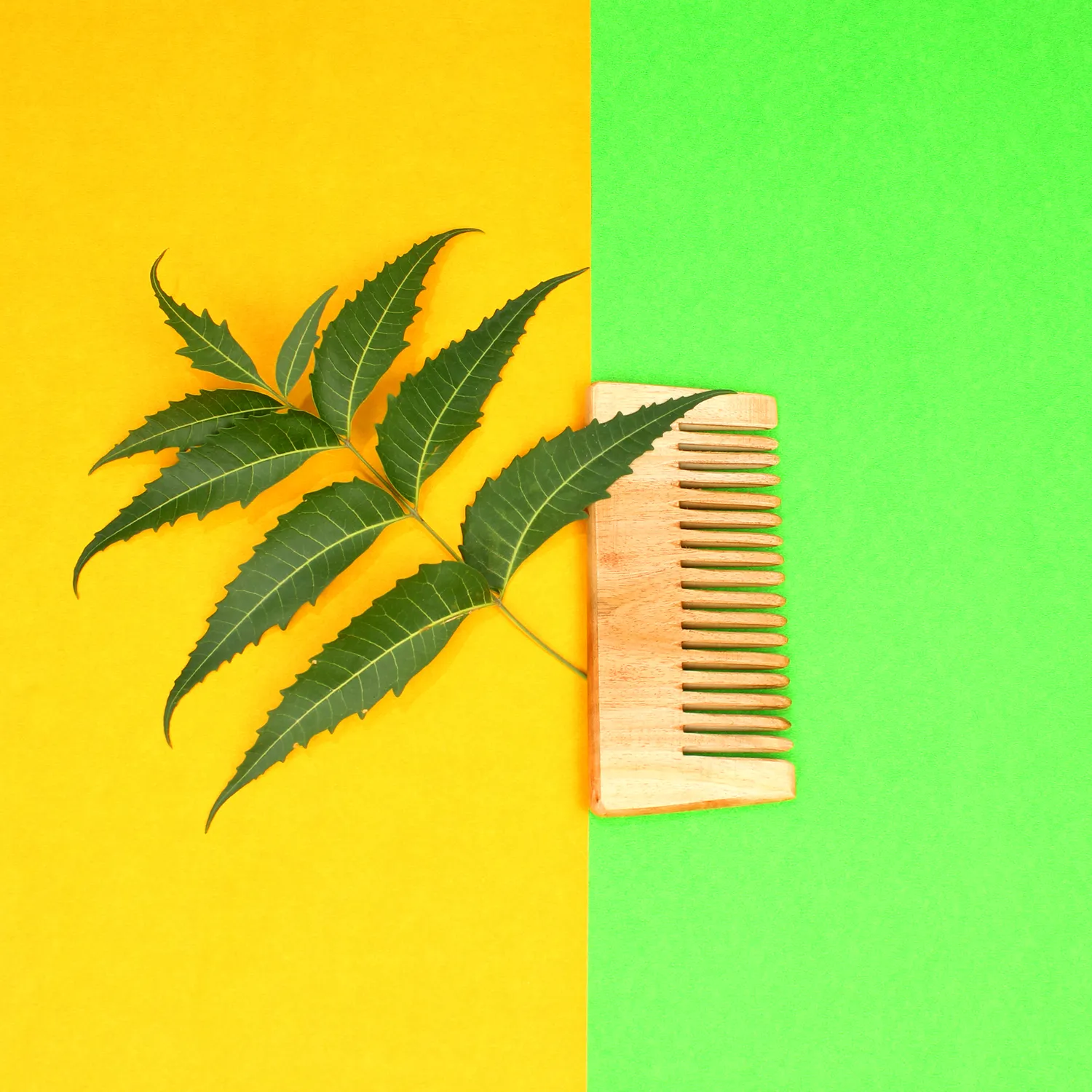 El'Cobre Neem Detangler kam i neemtræ