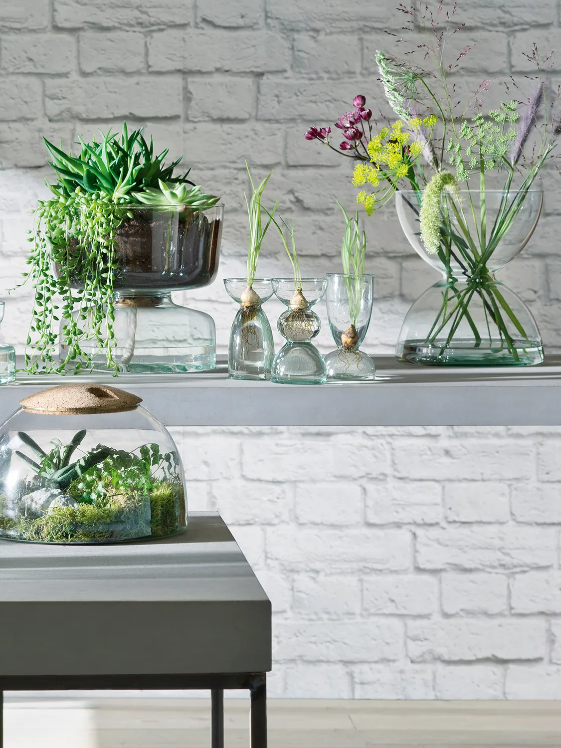 LSA Canopy vase genbrugsglas kuppel